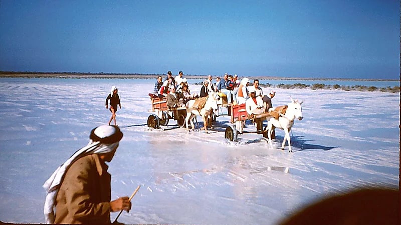 صورة تاريخية نادرة تظهر رحلة زوار أجانب من القطيف إلى تاروت بعربات القاري .. صور
