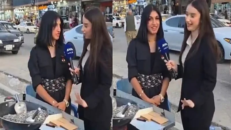 حسناء عراقية تخطف الأنظار ببيعها دوار الشمس بالزي الكردي.. فيديو