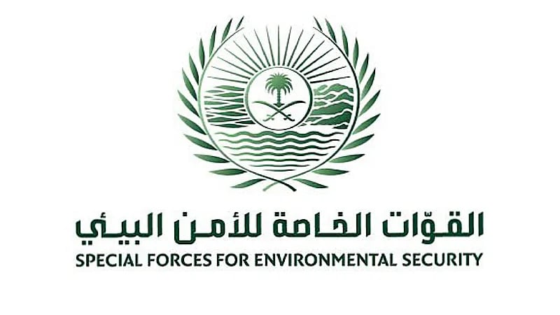 ضبط 28 مخالفًا لنظام البيئة في عدد من مناطق المملكة ..فيديو