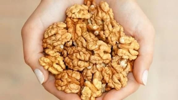 WhatsApp Image 2025-09-16 at 9.50.22 AM (1).jpeg