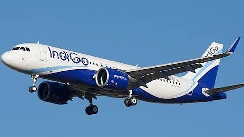 WhatsApp Image 2025-09-23 at 11.23.29 AM (1).jpeg