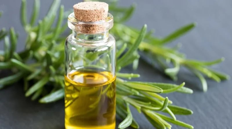 فوائد الروزماري للشعر من التساقط إلى الكثافة
