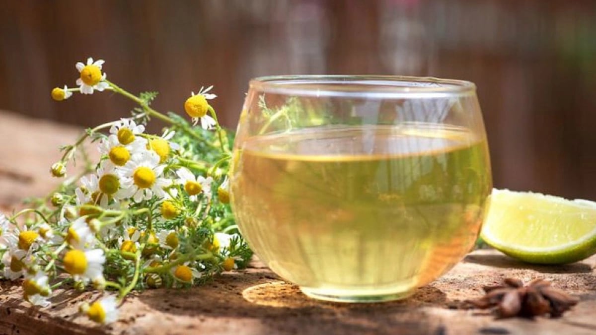 WhatsApp Image 2025-10-24 at 12.52.59 PM.jpeg