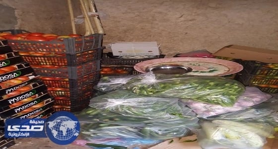 بالصور.. أمانة الرياض تصادر 8 بسطات خضار لباعة مخالفين