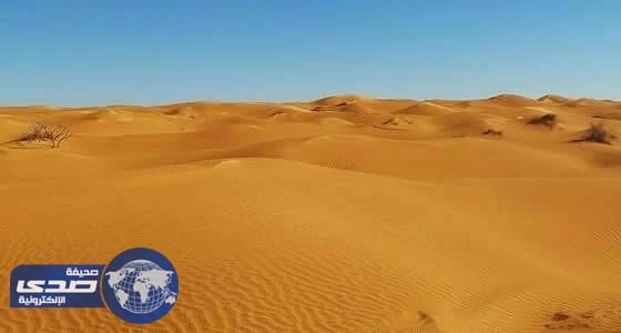 44 مهاجرا يموتون عطشاً في الصحراء الكبرى