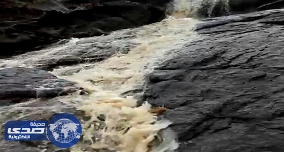 الإنذار المبكر ينبه بانخفاض مستوى الرؤية وتساقط الأمطار في ينبع