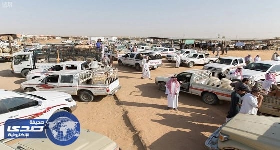 بالصور.. إنتعاش أسواق المواشي في الجوف والأمانة تجهز المسالخ للأضاحي