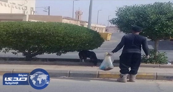 بالصور.. حملة لتسميم الكلاب الضالة بعد فتوى بجواز قتل المؤذية في العويقيلة