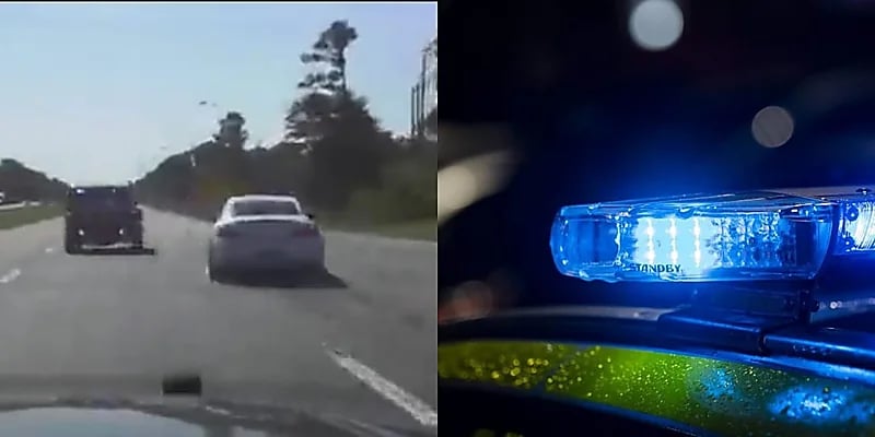 كلب بوليسي يهجم على الشرطي بدلًا من الهارب أثناء مطاردة - فيديو