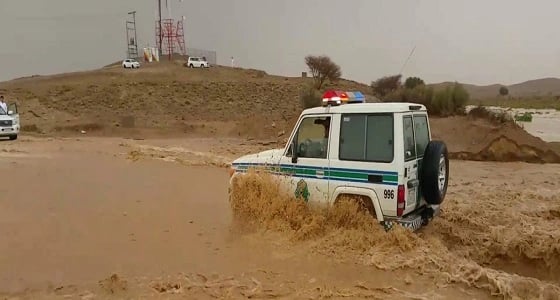 فيديو يحبس الأنفاس لسيول الرين