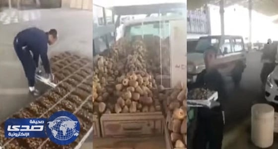 بالفيديو.. هاشتاج " التمور الملوثة " يثير الرعب