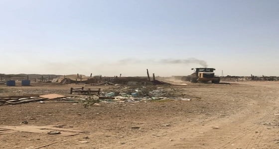 إزالة 311 حظيرة أغنام مخالفة في جدة