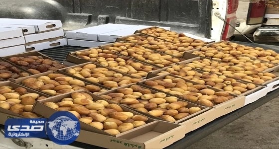 بدء العمل بمهرجان التمور بمحافظة وادي الدواسر