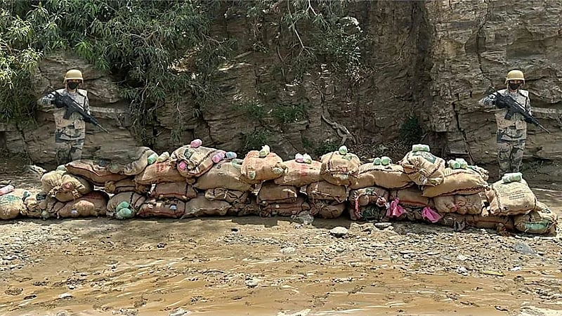 إحباط تهريب 170 كيلوجرامًا من نبات القات المخدر بجازان