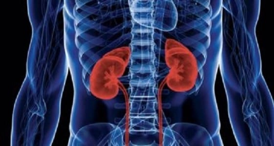 أمراض الكلى سبب في انخفاض معدل الذكاء لدى الأطفال