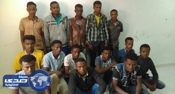 عمالة أثيوبية تسلب قائدي الشاحنات تحت تهديد سلاح أبيض