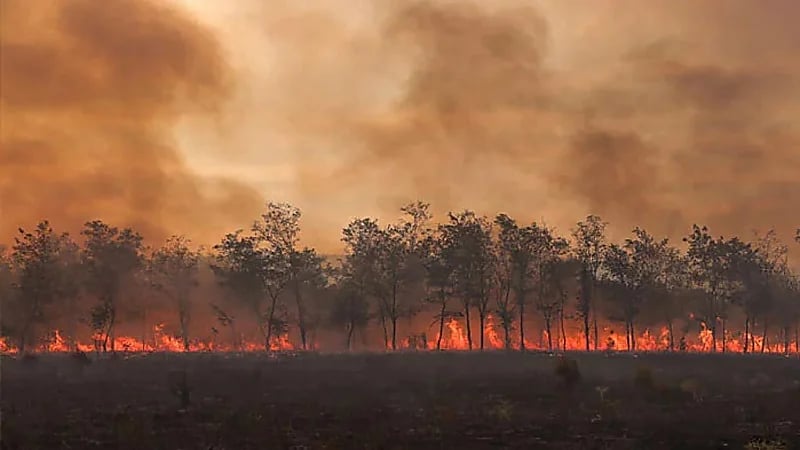 الدول العربية التي تواجه خطر التغيرات المناخية العنيفة