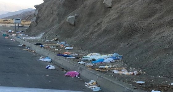 القرود تشوه المنظر العام في عقبة ضلع