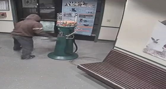 بالفيديو.. آلة بيع لبان تنتقم من لص حاول سرقتها