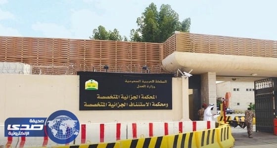 تعزير سجن مواطن 20 سنة عاد من سوريا ليتزعم خلية إرهابية