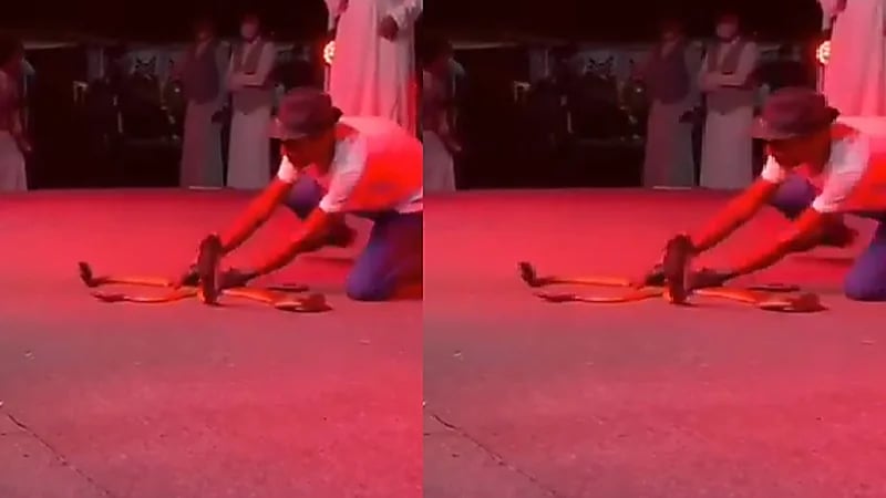 بالفيديو.. مروض الثعابين بعد تعرضه للدغة: "هذه المرة الخامسة"