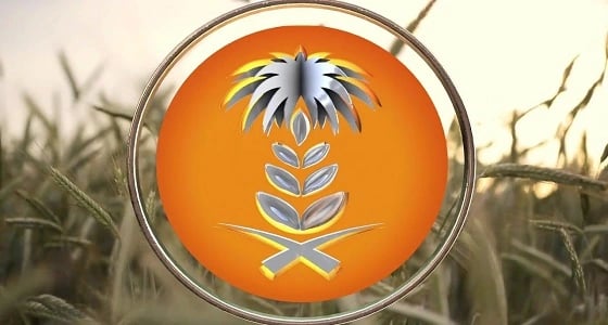 المؤسسة العامة للحبوب تطرح مناقصة لاستيراد 715 ألف طن قمح