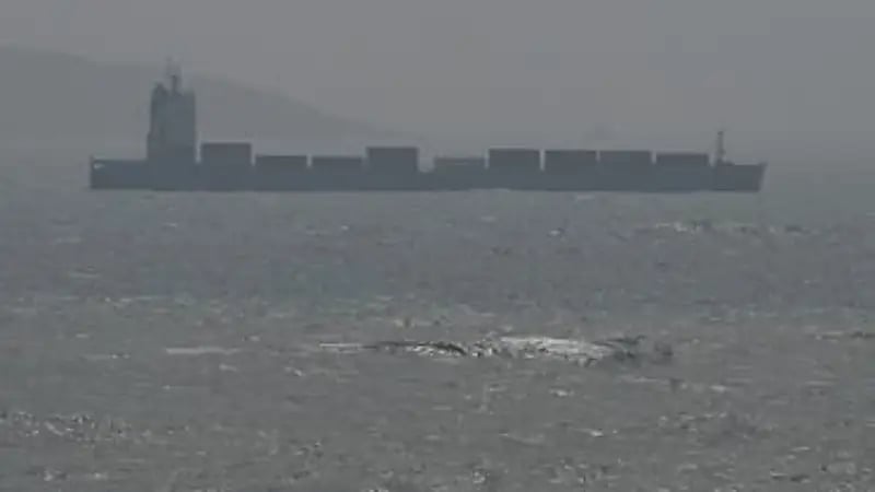 20 سفينة عسكرية صينية وتايوانية تتواجه في مضيق تايوان