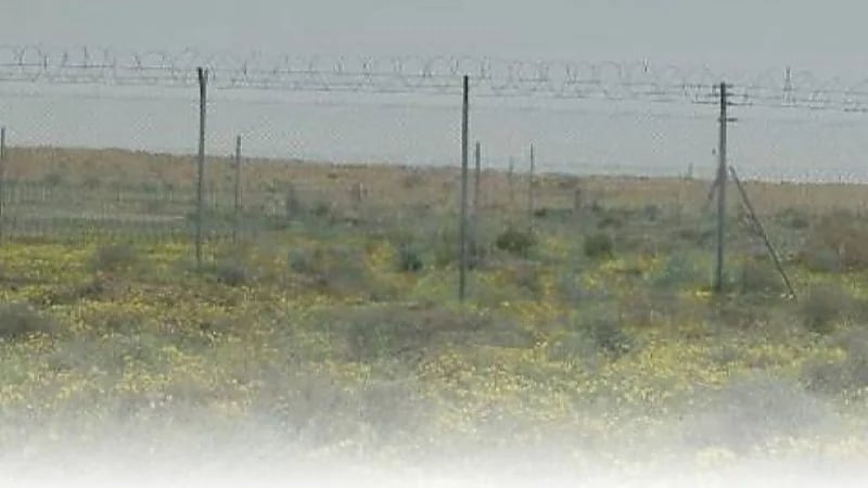 حرس الحدود يُحذر هواة البر والمتنزهين بعدم الاقتراب من حرم الحدود