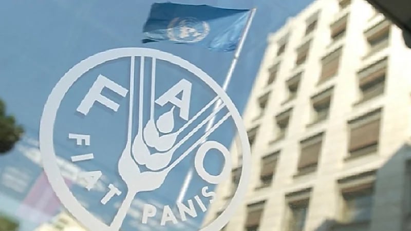 وظائف شاغرة في منظمة الأغذية والزراعة