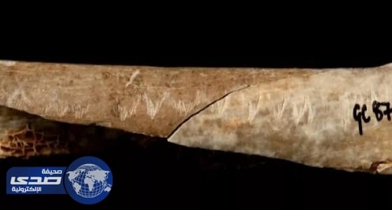 نقوش على عظمة بشرية تكشف طقوس أكلة لحوم البشر في بريطانيا