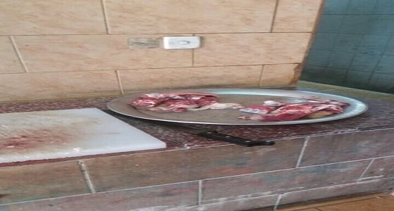 كميات من الصراصير والحشرات داخل مصنع حلويات بعسير