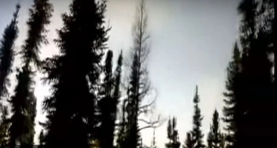 باحث يضع تجربة للحد من أصوات الأبواق والنتيجة سلبية