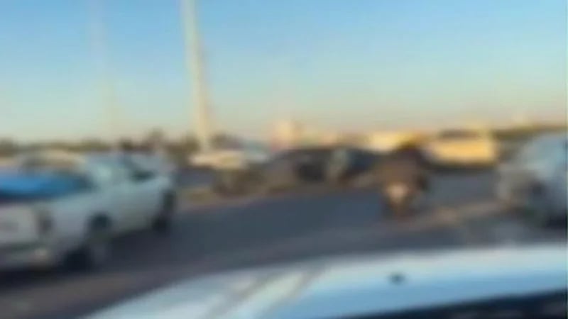 حادث اصطدام مروع لـ 5 مركبات في بريدة