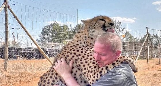 فيديو مؤثر لفهد يلتقي مربيه بعد عامين من تركه