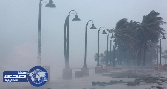 بالفيديو.. طالب في أمريكا: أزمة إعصار إرما كشفت التعاون والتكاتف بين المبتعثين