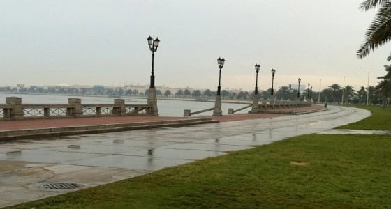 هطول أمطار رعدية ورياح مثيرة للأتربة على الرياض والشرقية