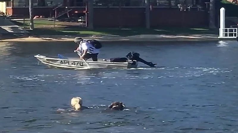 بالصور.. أم تقفز في المياه وتطارد لص حاول سرقة قارب ابنها