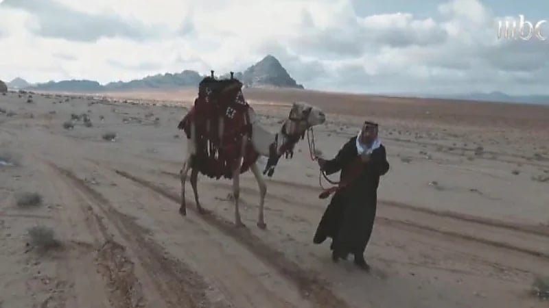 بالفيديو.. الشقيري يكشف عن سر احتماء العربي بالإبل ليلا في الشتاء القارس