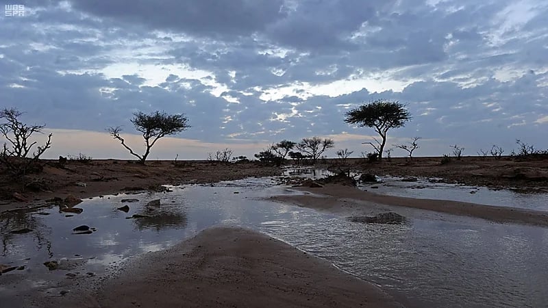 عقيل العقيل: انتهاء الموجة الباردة واستمرار الطقس البارد بشكل عام.. فيديو