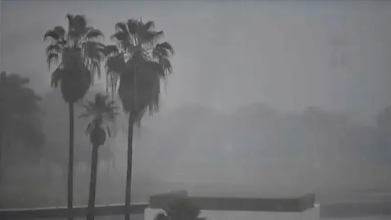 خسائر في الأرواح والممتلكات إثر سيول ضربت الجزائر.. فيديو