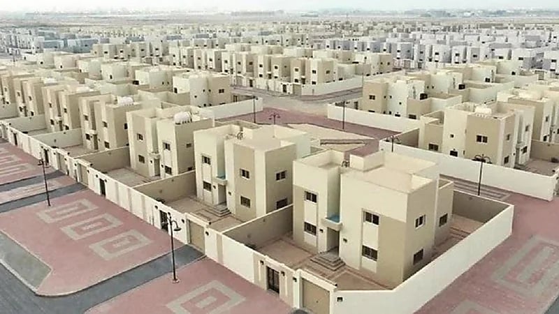 شاهد .. كيفية تعامل شؤون الحرمين مع القطط السائبة في المسجد الحرام