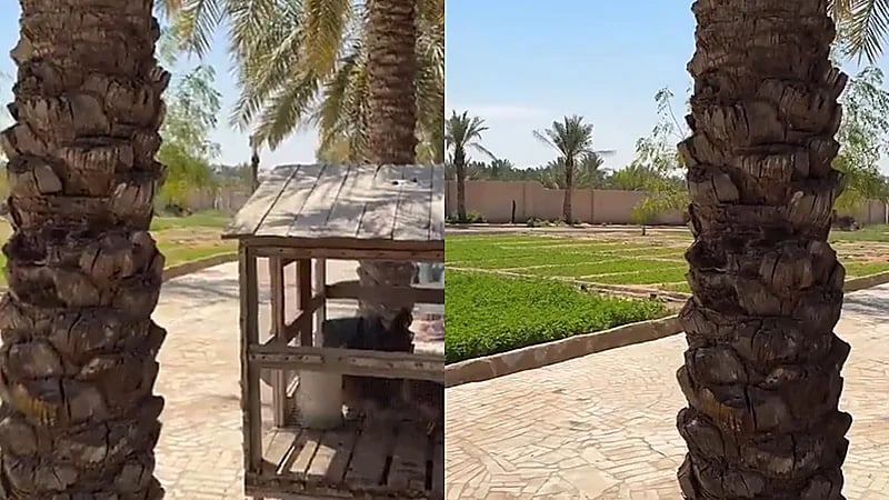 الزعاق: اليوم هو آخر موسم العقارب .. فيديو