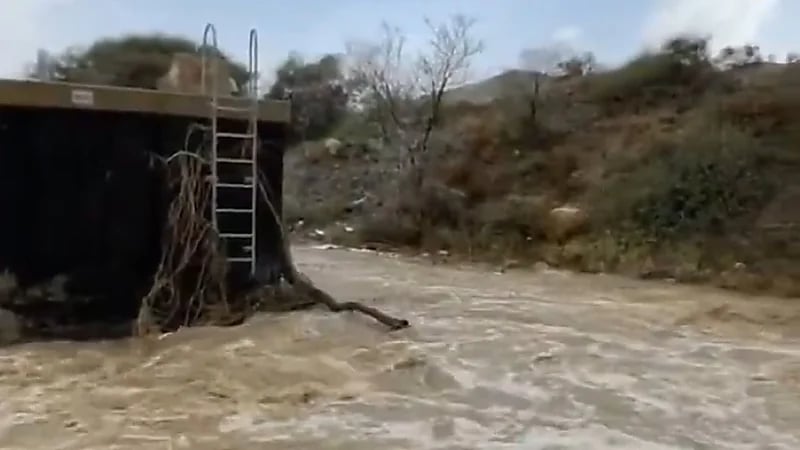 سيول غامرة تجتاح حي الوسام بالطائف.. فيديو