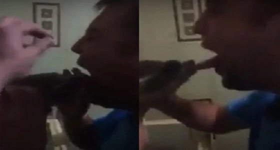 بالفيديو.. سلحفاة تلقن صاحبها درسا قاسيا