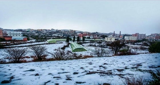 أمطار رعدية مصحوبة بزخات برد على 6 مناطق بالمملكة