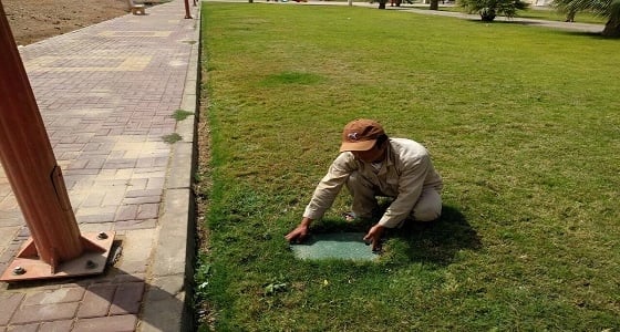 بالصور.. معالجة التلوث البصري بالحدائق والمتنزهات في نجران