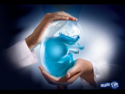 وفاة شخص إثر إصابته بـ" السالمونيلا " في نيويورك