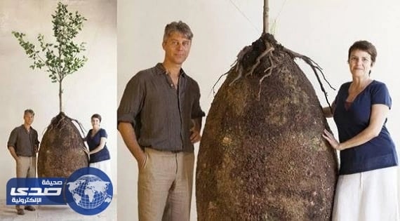 بالصور.. أختراع مدافن تحول رفات الموتى لأشجار