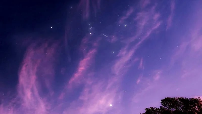 فلكية جدة: «الجوزاء» و «الشعرى» في سماء المملكة فجراً أواخر أغسطس