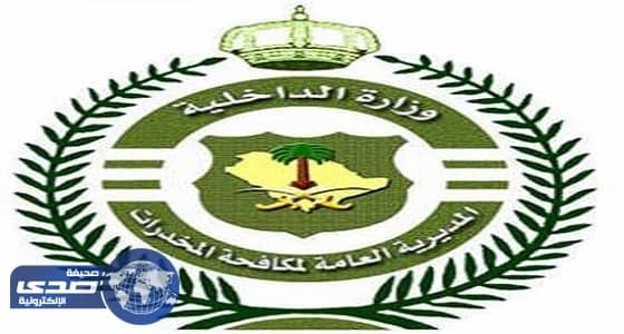 الداخلية: تعرض دورية حرس حدود راجلة لانفجار لغم أرضي